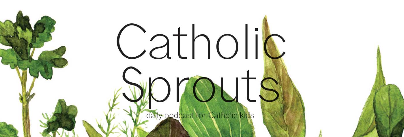 CatholicSproutsWide