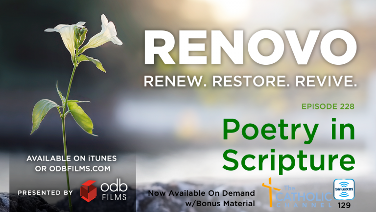Renovo Episode 228: Poetry in Scripture