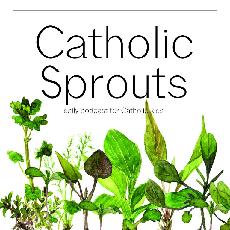 Catholic Sprouts: Daily Podcast for Catholic Kids